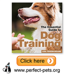 Link to the Perfect Pets Books website